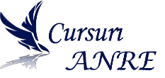 Cursuri ANRE